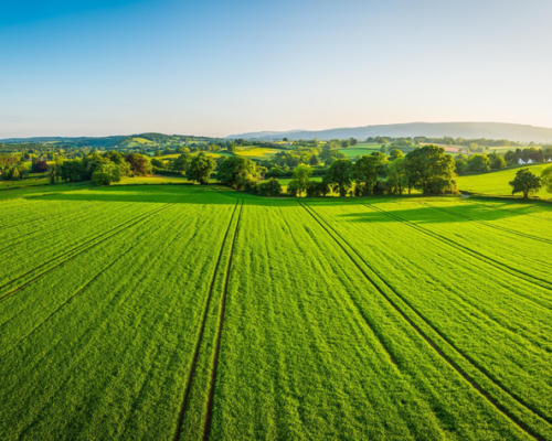 Có thể áp dụng gì về nông nghiệp xanh của Israel cho miền Tây Nam Bộ Việt Nam ? Có thể áp dụng gì về nông nghiệp xanh của Israel cho miền Tây Nam Bộ Việt Nam ?
