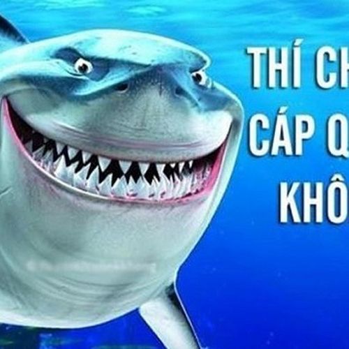 Cáp quang AAG gặp sự cố, Internet đi quốc tế bị ảnh hưởng