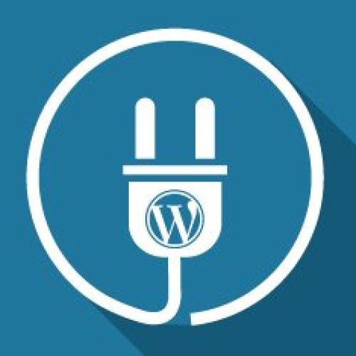 PLUGIN CỦA WORDPRESS LÀ GÌ ?