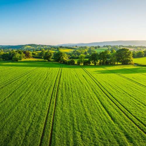 Có thể áp dụng gì về nông nghiệp xanh của Israel cho miền Tây Nam Bộ Việt Nam ?