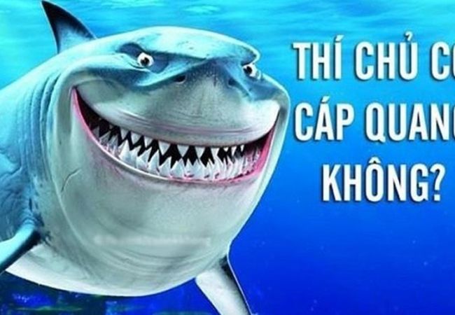 Cáp quang AAG gặp sự cố, Internet đi quốc tế bị ảnh hưởng