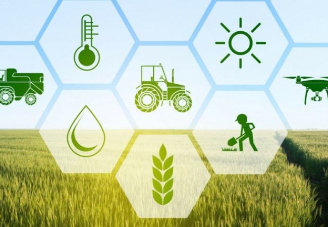 Nông nghiệp xanh Israel sử dụng CNTT, AI như thế nào ?