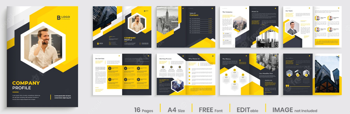 Thiết kế bộ hồ sơ năng lực doanh nghiệp tại Bến Tre - hình 1