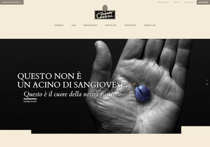 Màu nâu trong thiết kế - hình 4